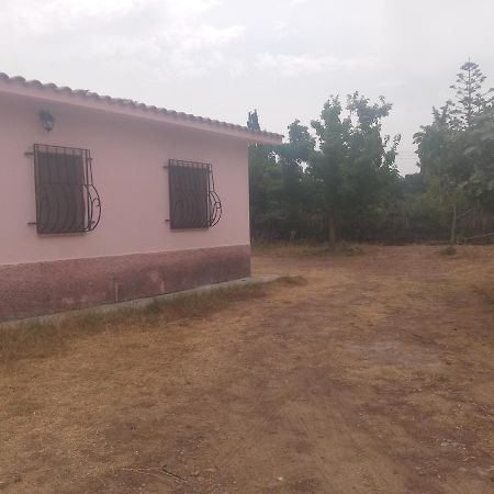דירות גונזה Dolce Casa מראה חיצוני תמונה